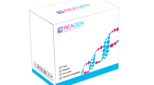 馬、驢源性恒溫核酸檢測試劑盒