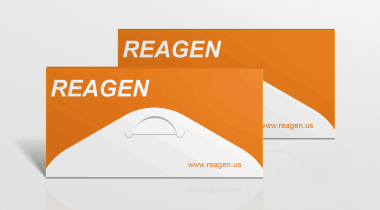 Nipah Virus Antibody ELISA Test Kit